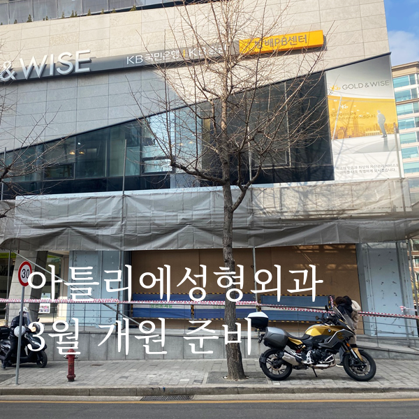 아틀리에, 3월 개원 방배동 성형외과의원