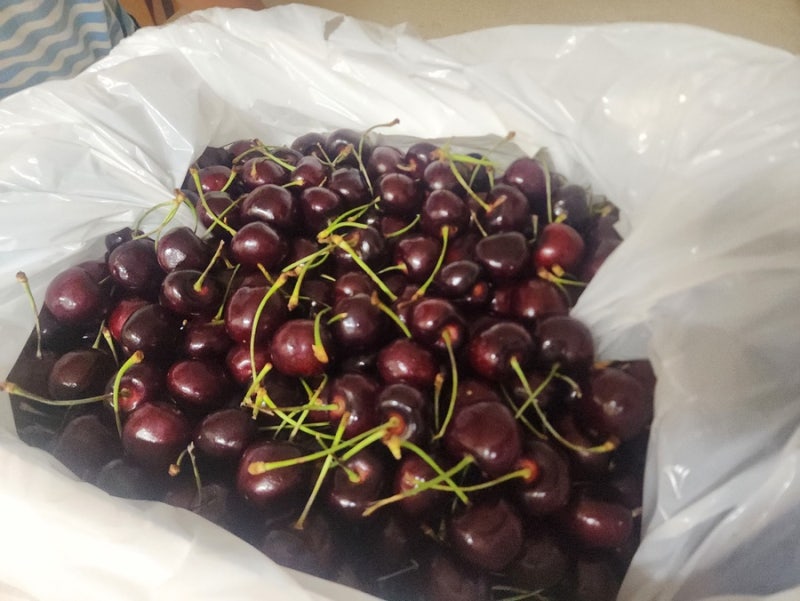 아틀리에 고객님들의 선물 사진 2